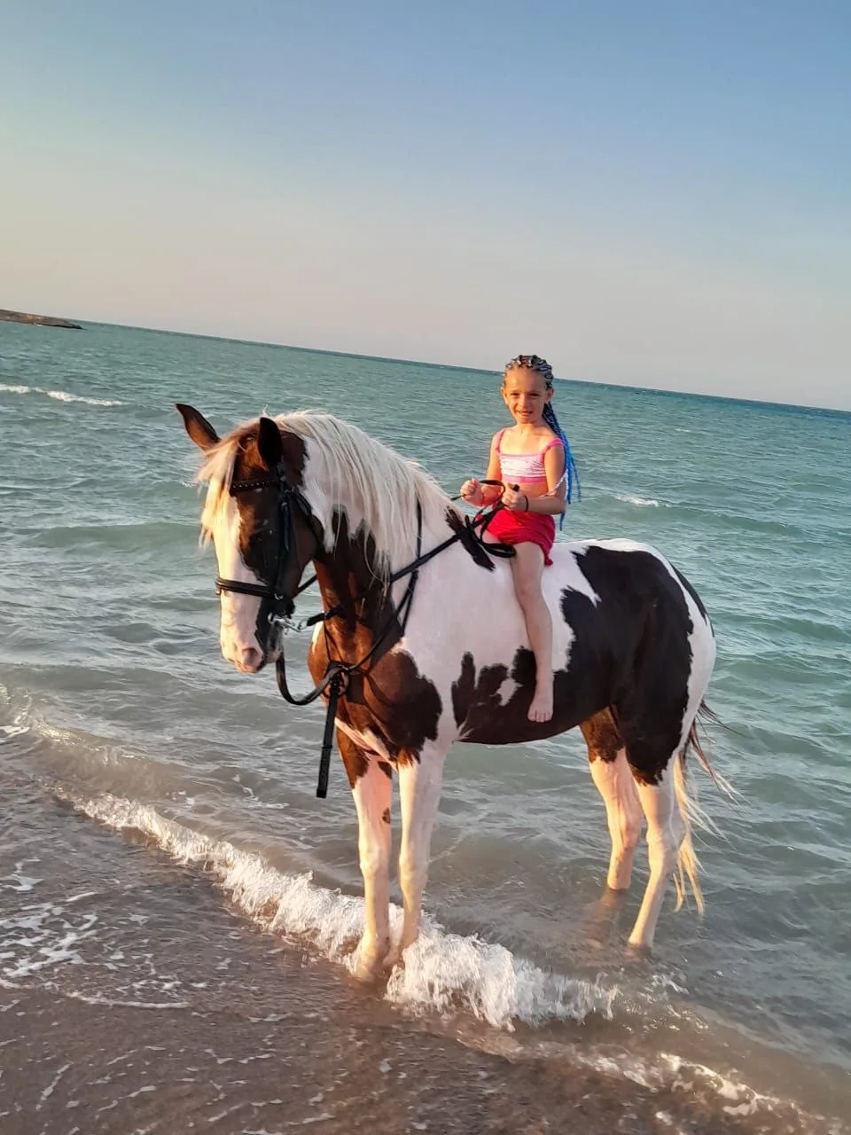 Group horse riding tour on the beach in Hurghada