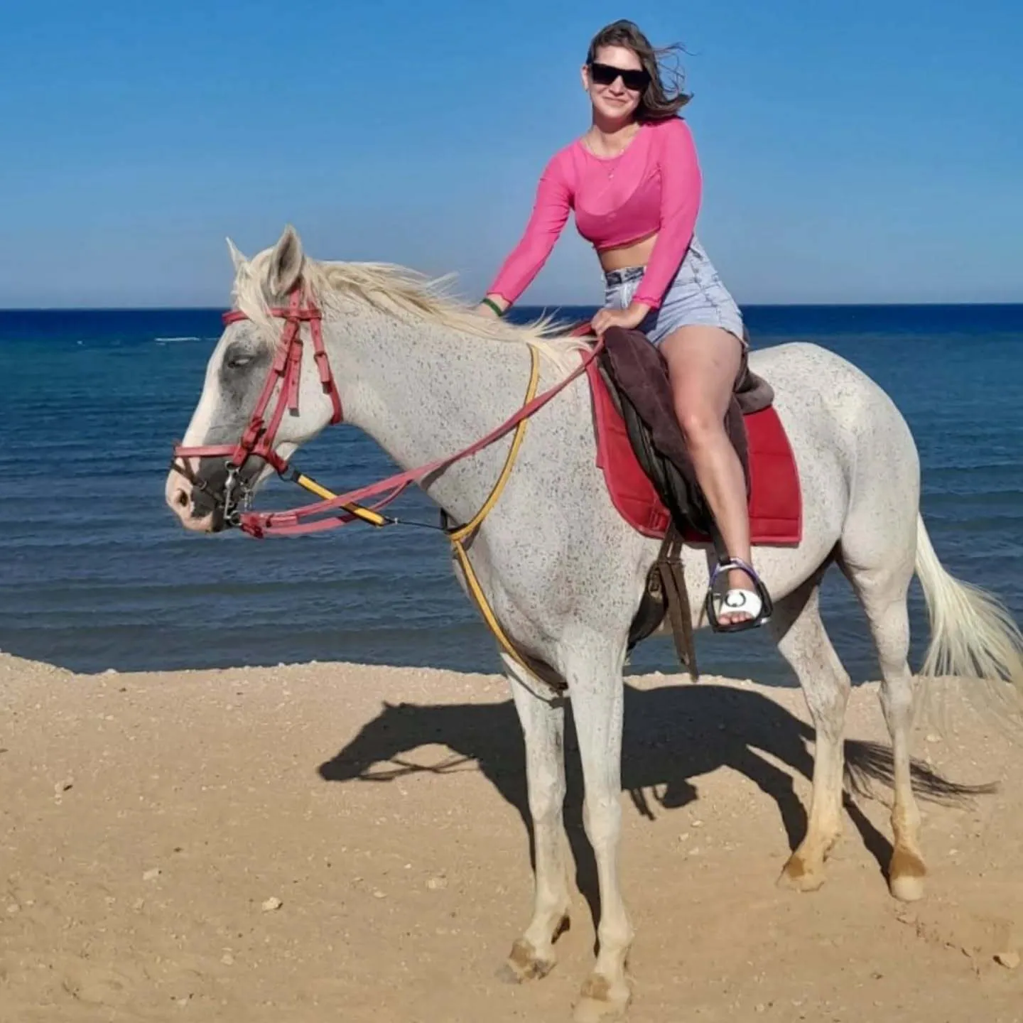 Horse riding along the beach in Hurghada