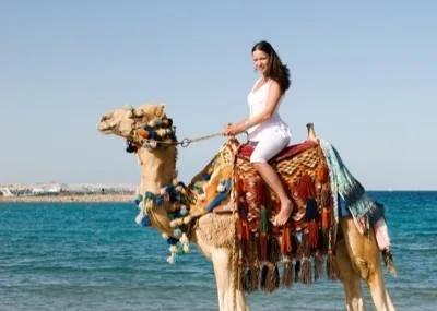 Camel ride along the seashore in Hurghada